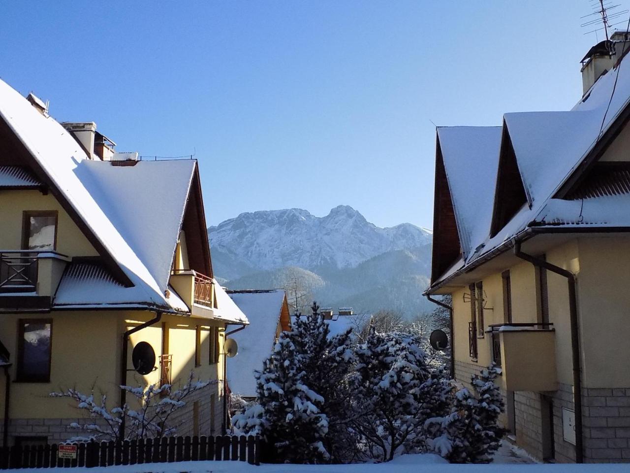 Apartament Giewont Panorama كوشتيليسكا المظهر الخارجي الصورة